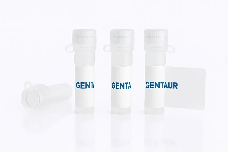 Bauhinia purpurea Gel -BPA- Immobilized Lectin    pre- Packed in column with separate elution buffers and instruction booklet. 