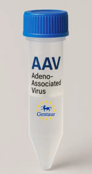 BRS3 AAV Vector (Mouse) (CMV)